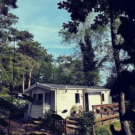 Knus Chalet Midden In De Bossen Nunspeet Dış mekan fotoğraf