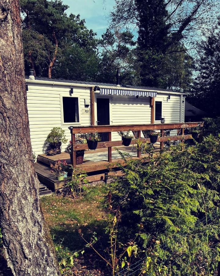 Knus Chalet Midden In De Bossen Nunspeet Dış mekan fotoğraf