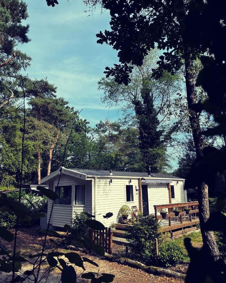 Knus Chalet Midden In De Bossen Nunspeet Dış mekan fotoğraf