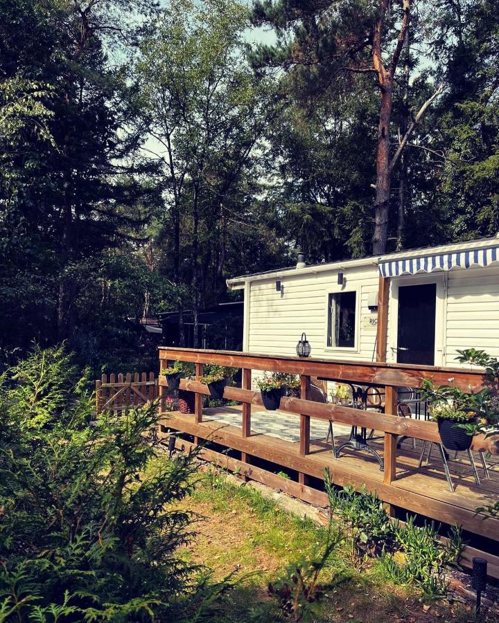 Knus Chalet Midden In De Bossen Nunspeet Dış mekan fotoğraf